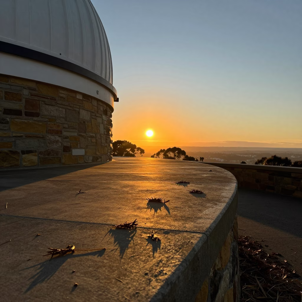 Golden Hour Light on Hobart Observatory Dome Threshold with Windblown Cedar Needles in in Hobart, Tasmania, Australia