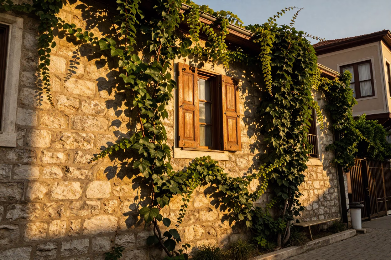 Golden hour light on ivy vines and brass latch in Istanbul courtyard in in Istanbul, Turkey