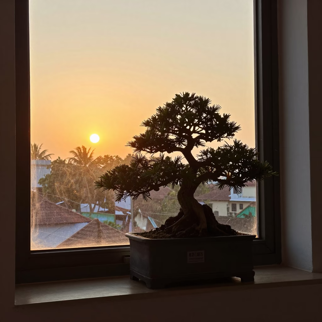 Golden Hour Light on Kochi Window Sill with Bonsai and Local Life in in Kochi, India