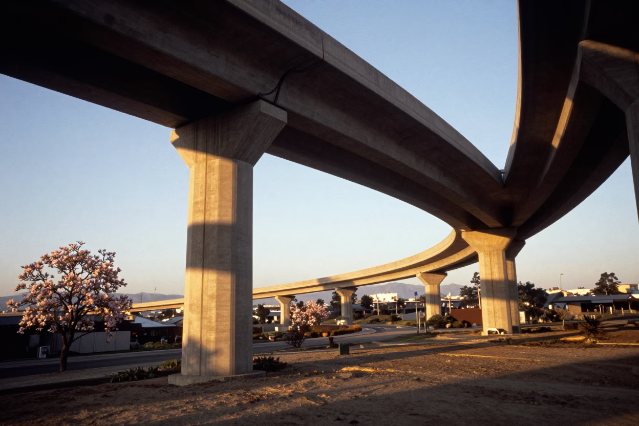 Golden Hour Light on Los Angeles Concrete Viaduct and Magnolia Bloom in in Los Angeles, California, United States