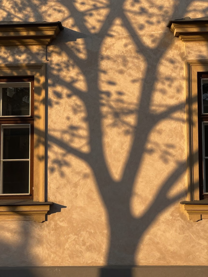 Golden Hour Light on Plaster Wall with Leaf Shadows in Krakow Poland in in Krakow, Poland