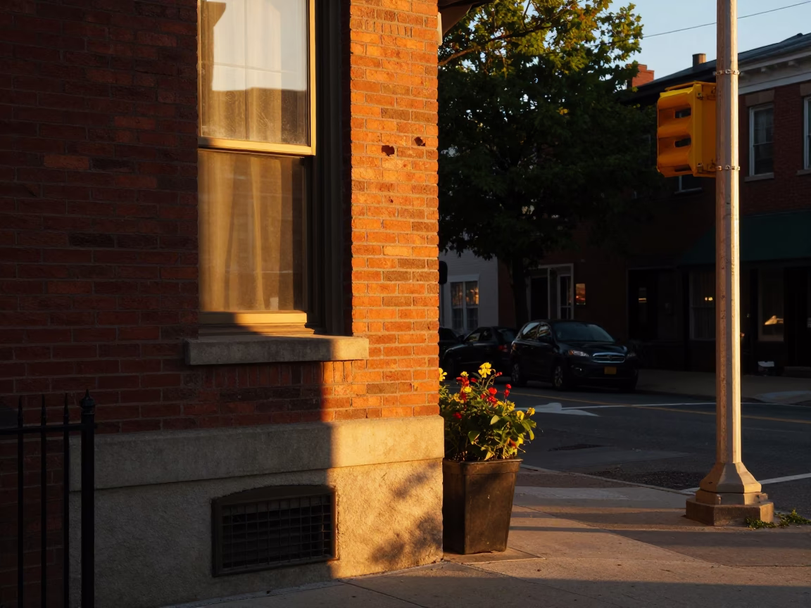 Golden Hour Philadelphia Street Scene with Sun Stripe and Local Flora in in Philadelphia, Pennsylvania, United States
