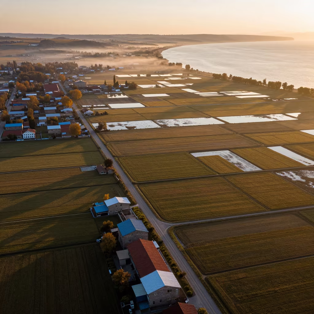 Golden Hour Rice Paddies Near Rustavi Coast in far above surf-scalloped coastline near Rustavi