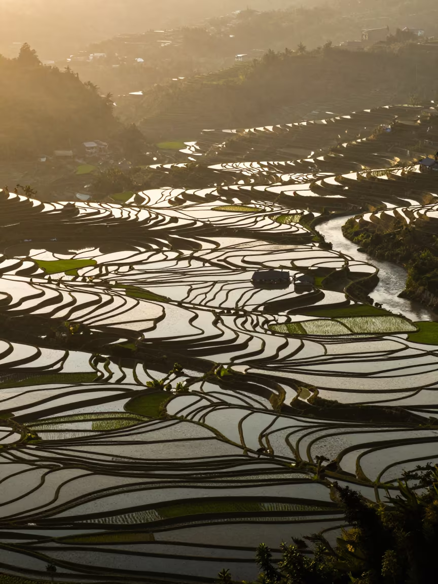 Golden Hour Rice Terraces Above Suva River in far above river meanders near Suva