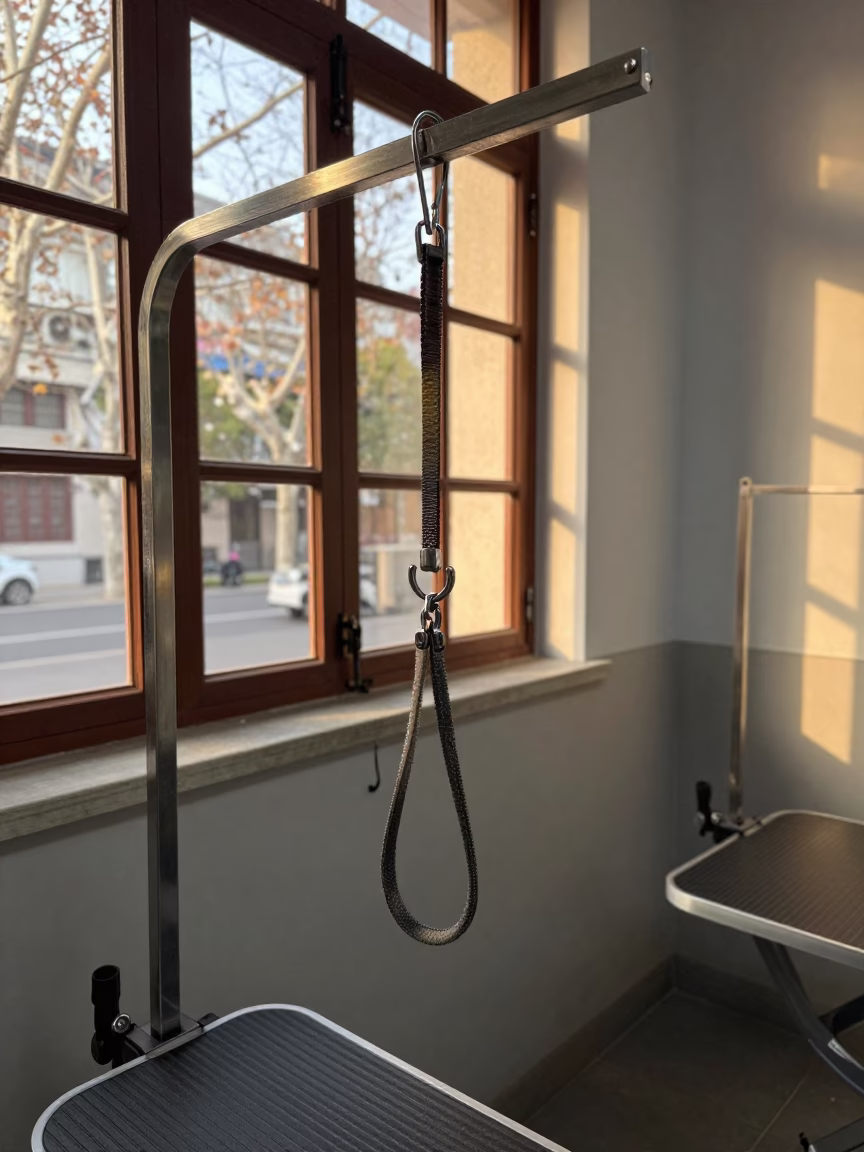 Golden Hour Sanitizing Rail in Shanghai Grooming Bay in inside a grooming bay in French Concession, Shanghai