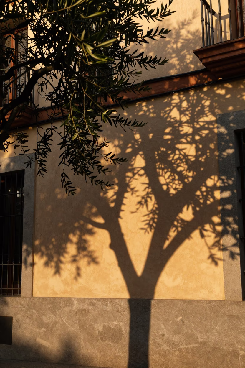 Golden Hour Shadows on Plaster Wall in Madrid Spain Street Photography in in Madrid, Spain