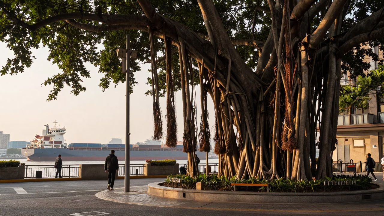 Golden Hour Shanghai Street Scene with Banyan Grove and Cargo Ships on the Horizon in in Shanghai, China