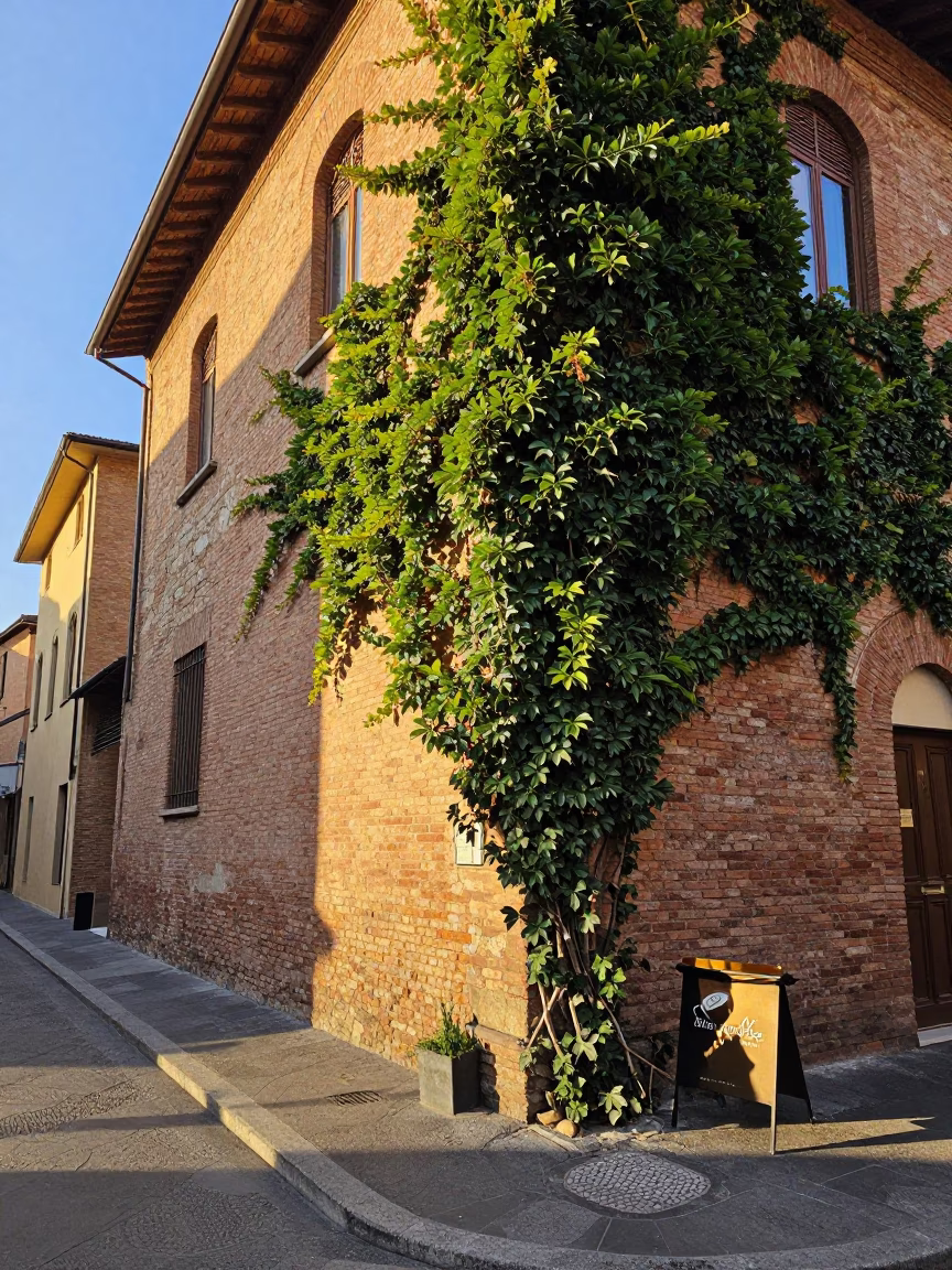 Golden Hour Street Scene in Bologna Italy with Ivy and Traditional Food in in Bologna, Italy