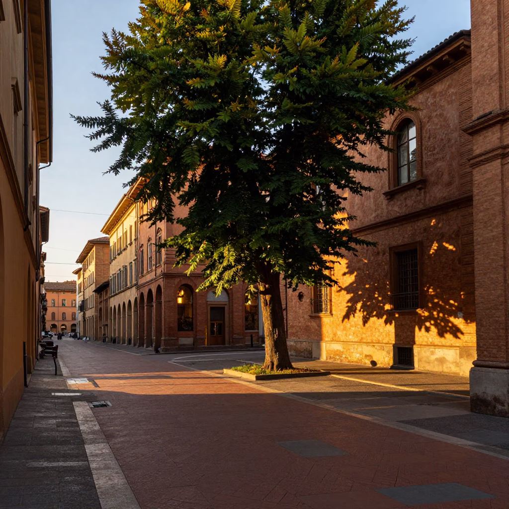 Golden Hour Street Scene in Bologna Italy with Tree and Window Light in in Bologna, Italy