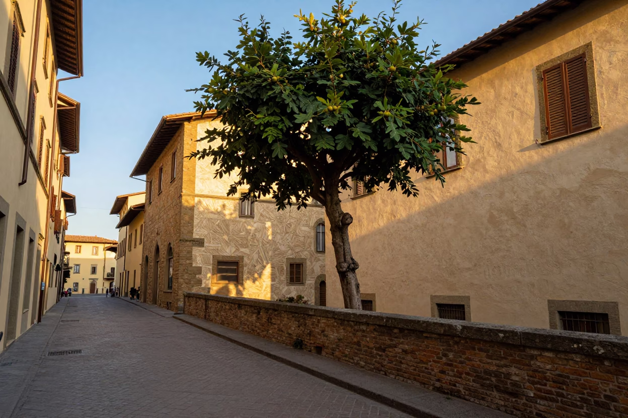 Golden Hour Street Scene in Florence Italy with Fig Tree and Copper Coffee Pot in in Florence, Italy