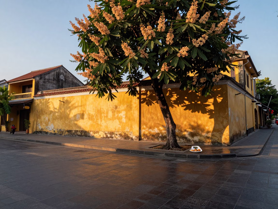 Golden Hour Street Scene in Hoi An Vietnam with Chestnut Tree and Lumpia Plate in in Hoi An, Vietnam