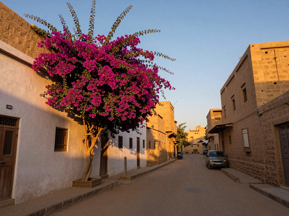 Golden Hour Street Scene in Luxor Egypt with Bougainvillea and Local Life in in Luxor, Egypt