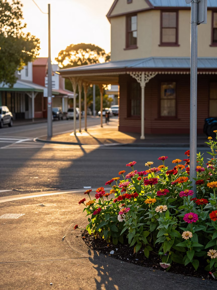 Golden Hour Street Scene in Perth Western Australia with Zinnias and Vintage Charm in in Perth, Western Australia, Australia