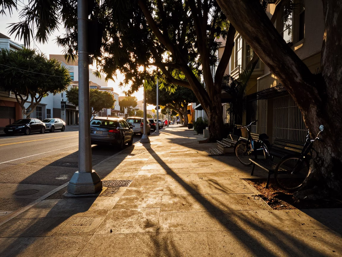 Golden Hour Street Scene in San Francisco with Leaf Shadows and Vintage Details in in San Francisco, California, United States
