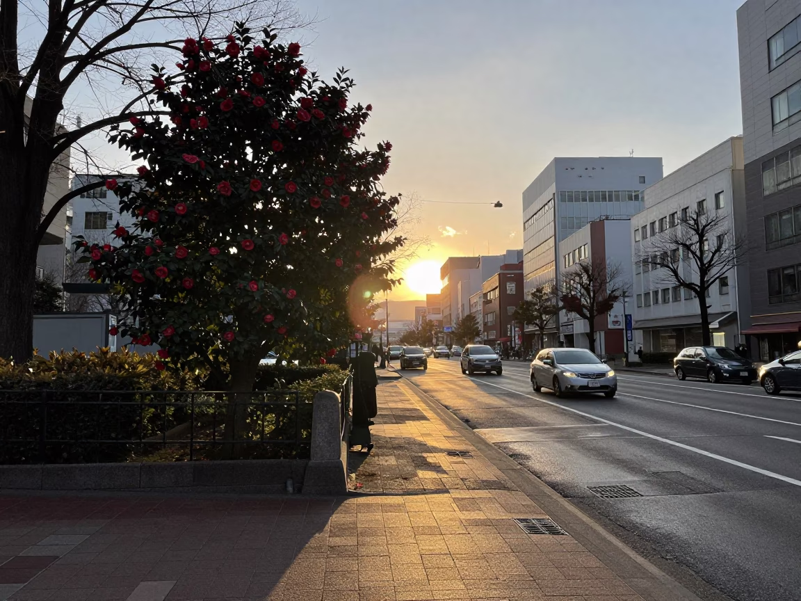 Golden Hour Street Scene in Sapporo Japan with Camellia and Urban Life in in Sapporo, Japan