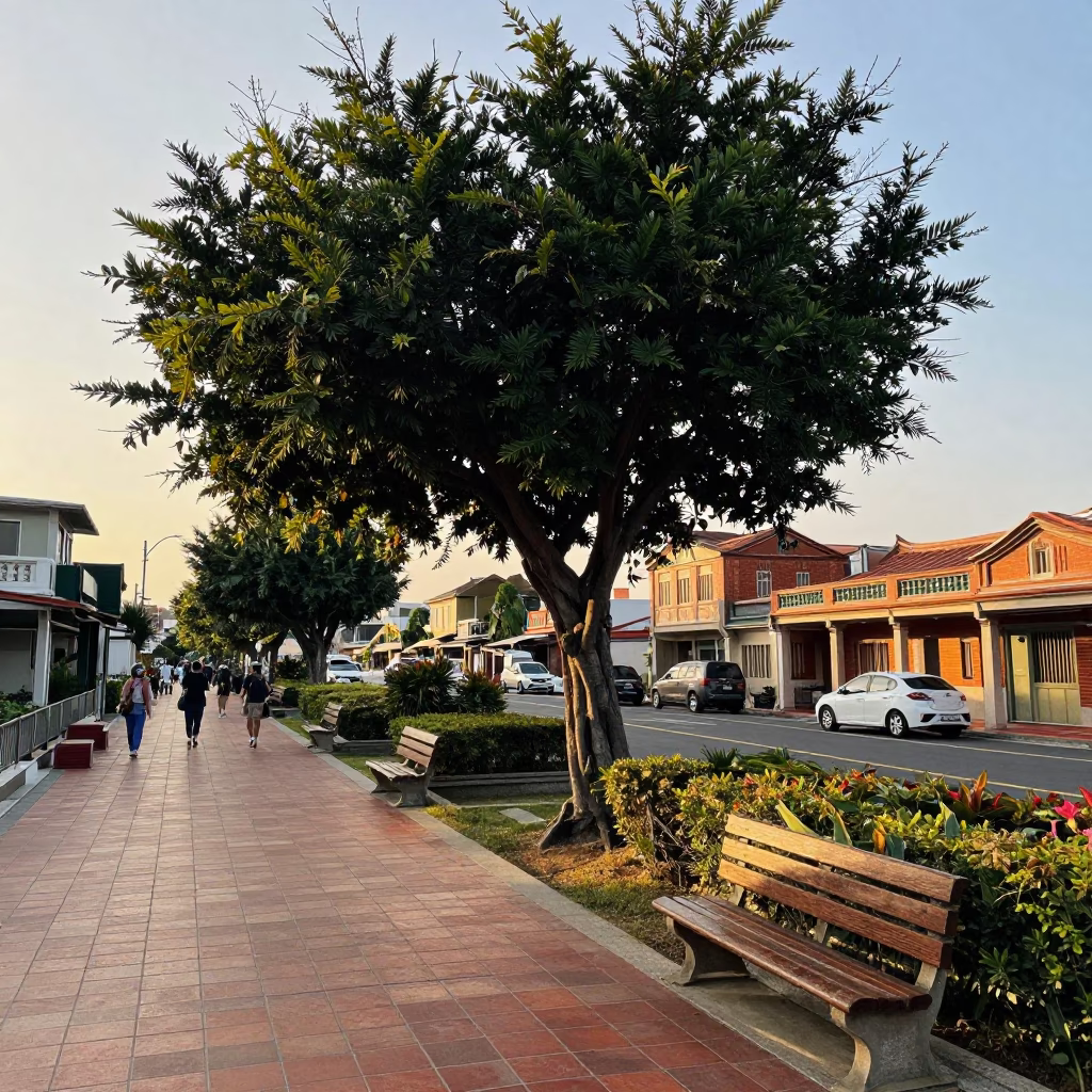 Golden Hour Street Scene in Tainan Taiwan with Tree and Garden Benches in in Tainan, Taiwan