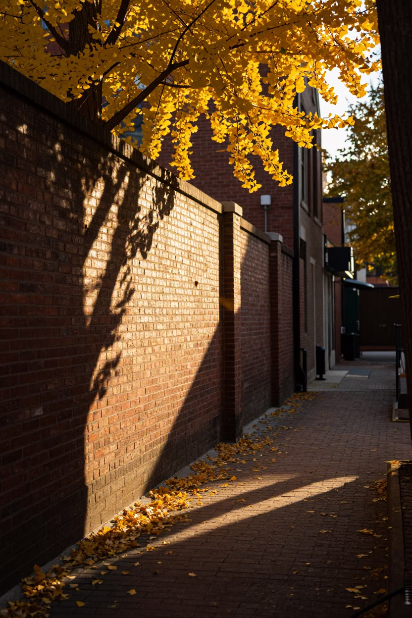 Golden Hour Sunlight Striking Brick Alleyway in Chicago Illinois with Falling Ginkgo Leaves in in Chicago, Illinois, United States