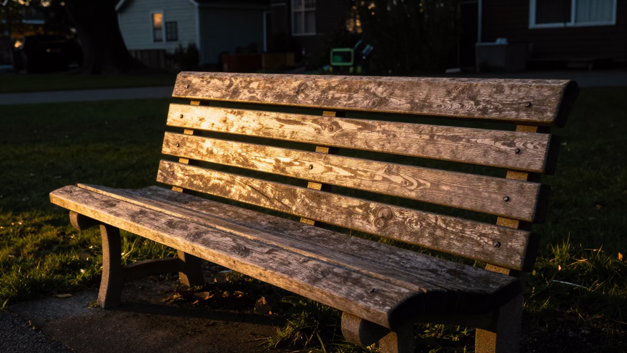 Golden Hour Sunlight Stripes on Wooden Bench in Vancouver British Columbia Park in in Vancouver, British Columbia, Canada