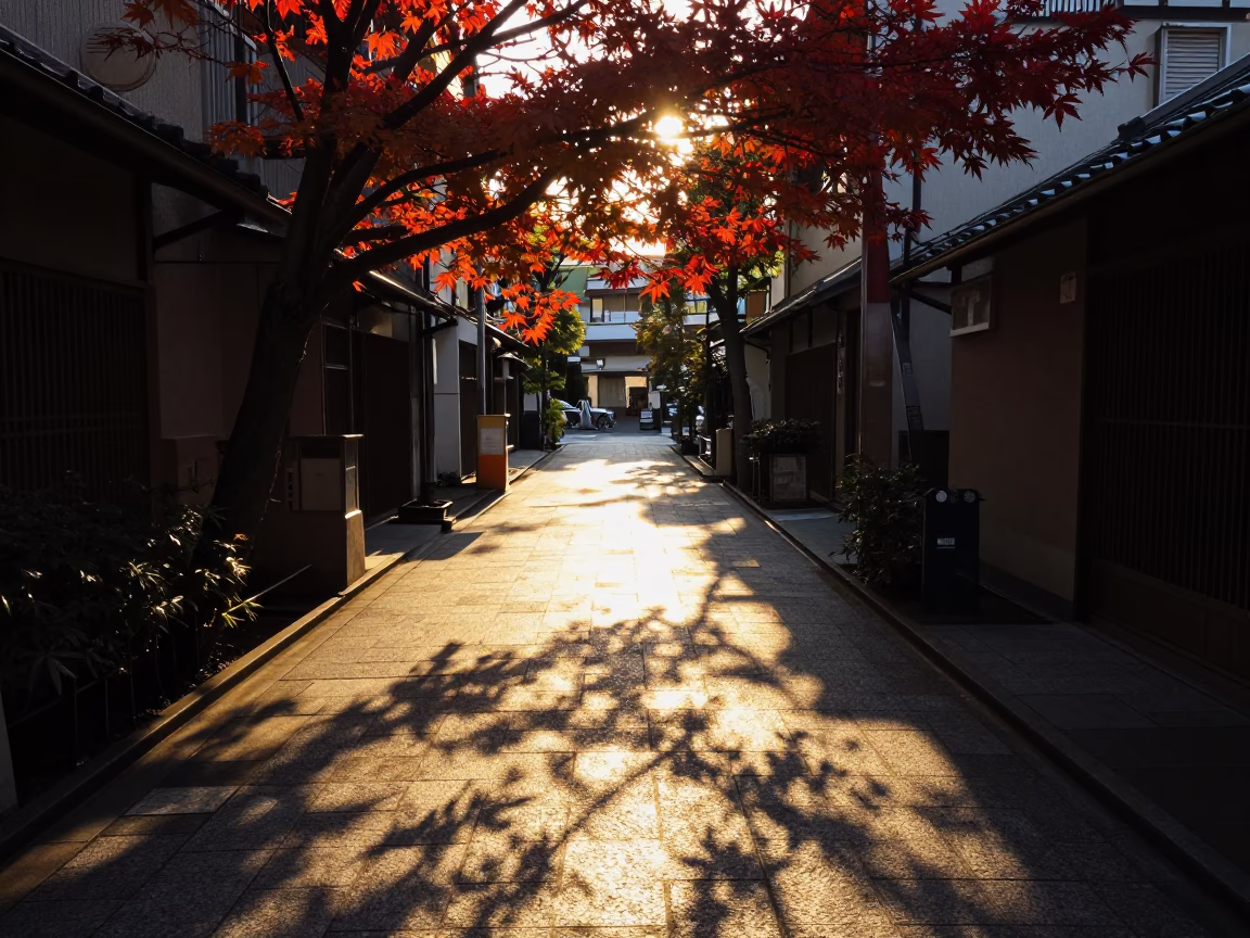 Golden Hour Tokyo Street Scene with Leaf Shadows on Tile and Traditional Brooms in in Tokyo, Japan