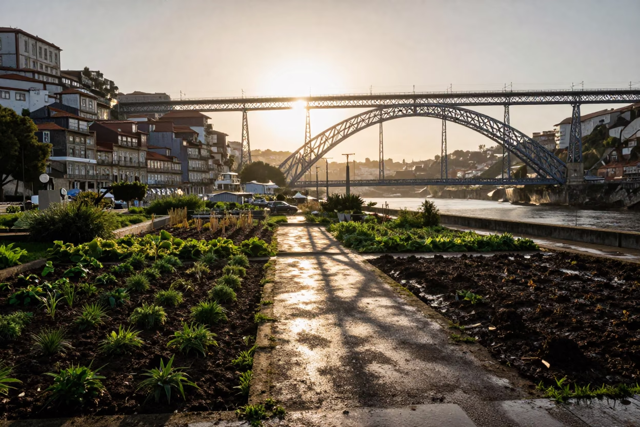 Golden Hour View of Porto Viaduct Shadow Cutting Across Rain-Washed Allotment Gardens in in Porto, Portugal