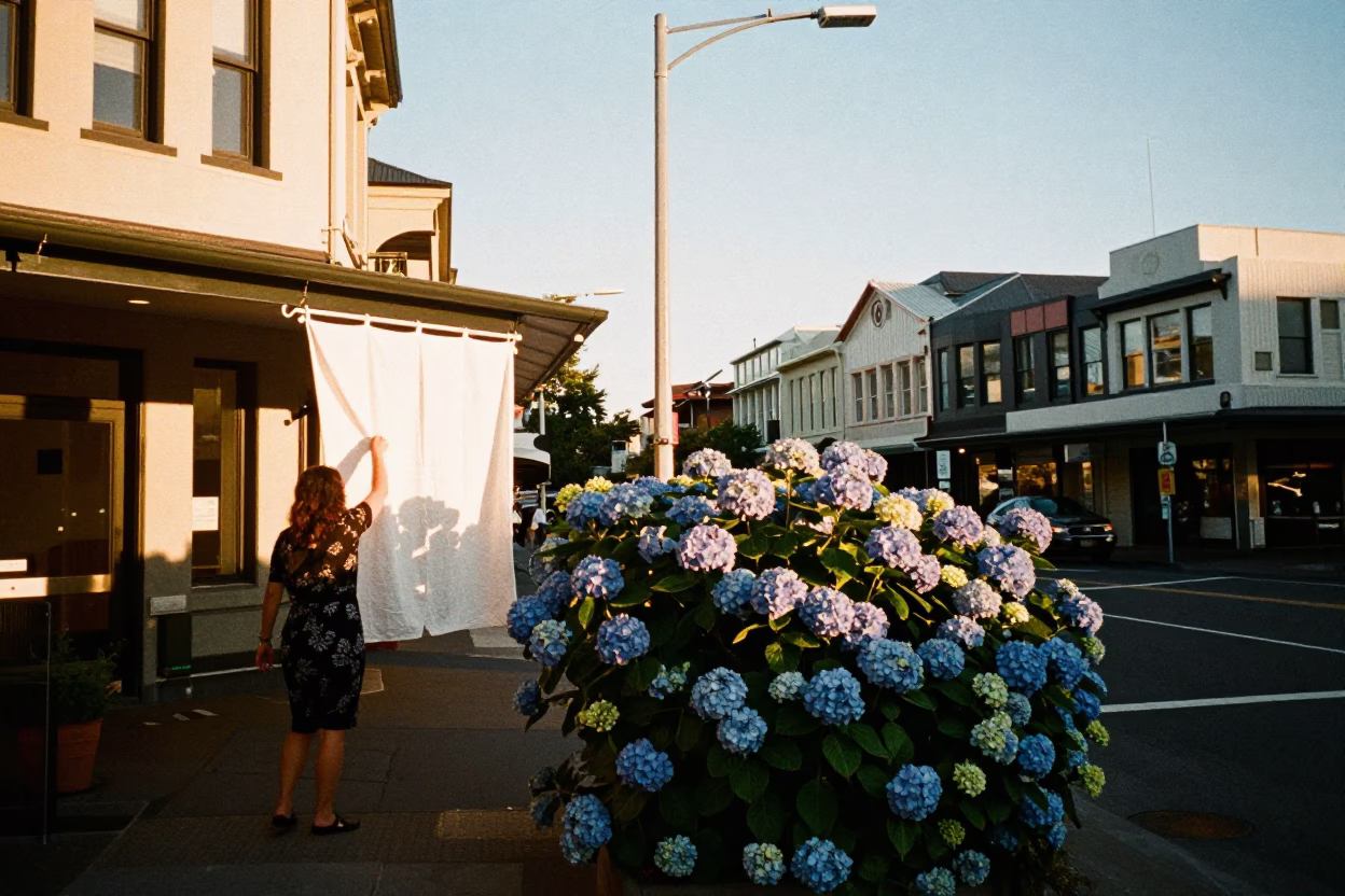 Golden Hour Wellington Street Scene with Blue Hydrangeas and Urban Architecture in in Wellington, New Zealand
