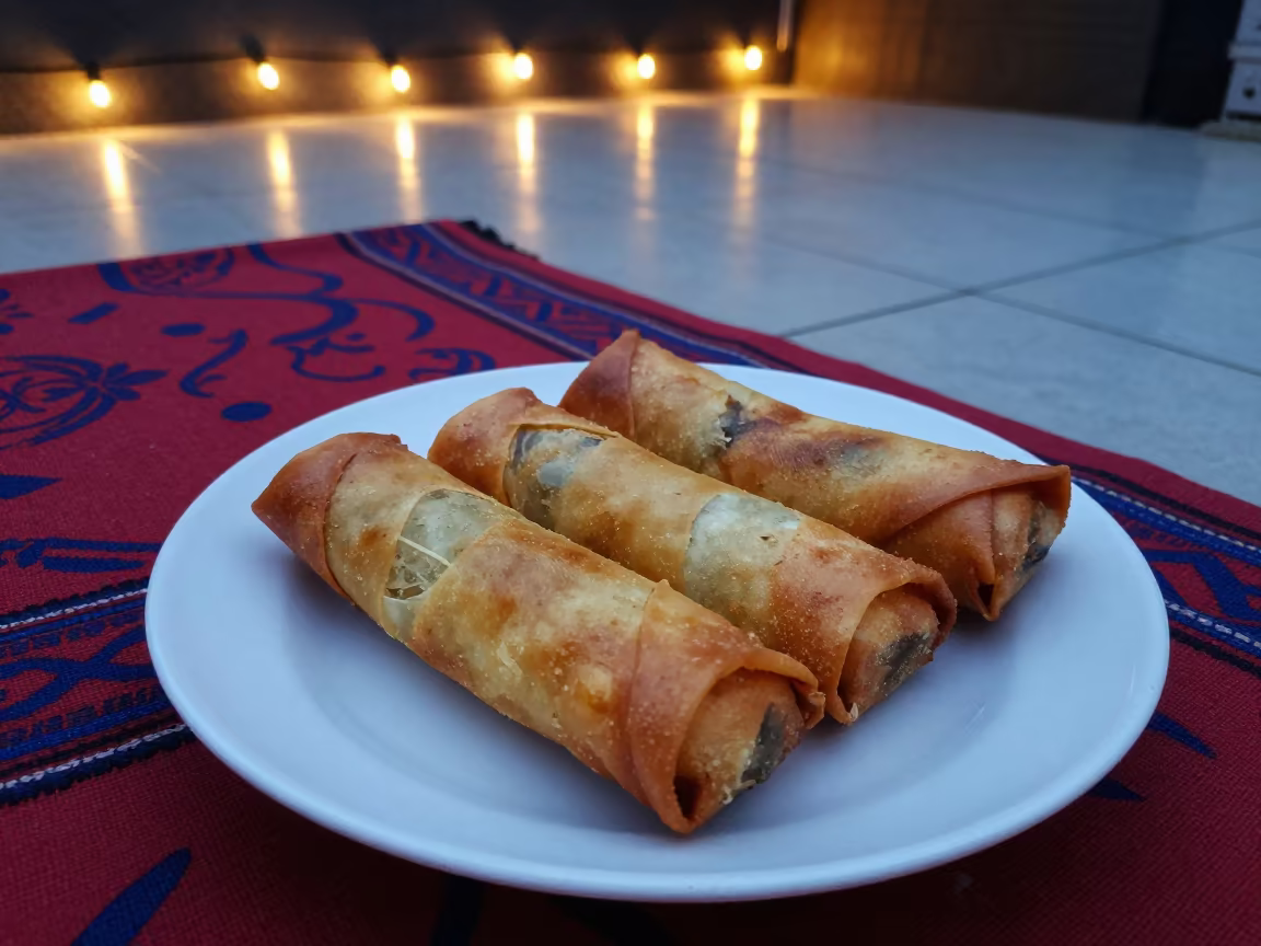 Golden Lumpia Rolls on Cebu Picnic Blanket in on a picnic blanket in Cebu