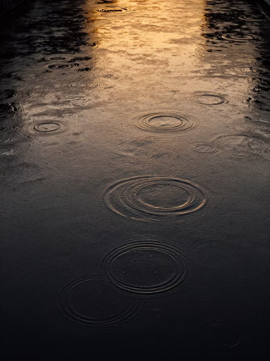 Golden Rain Rings on Mumbai Canal Water in near Mumbai