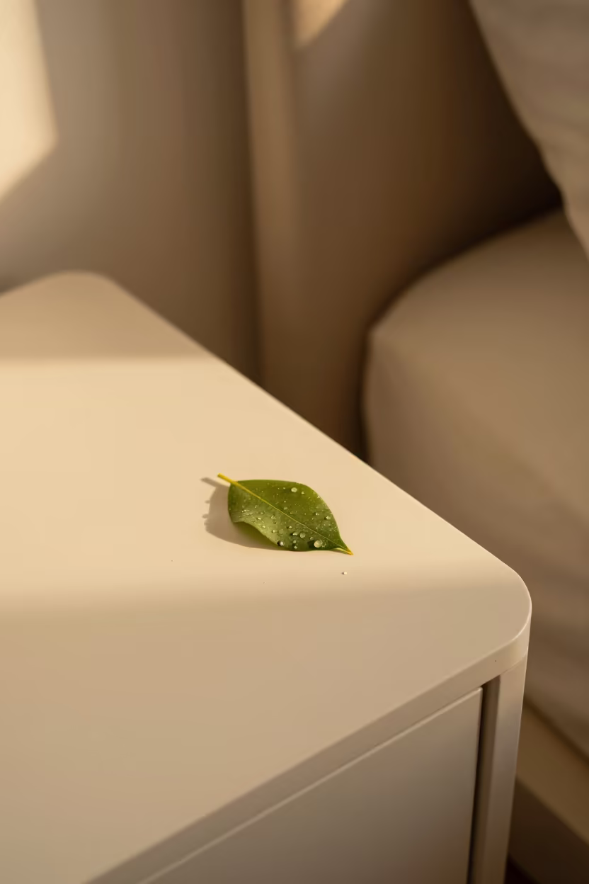 Golden Raindrop on Leaf Tip at Sunset in on a bedside table in Nice