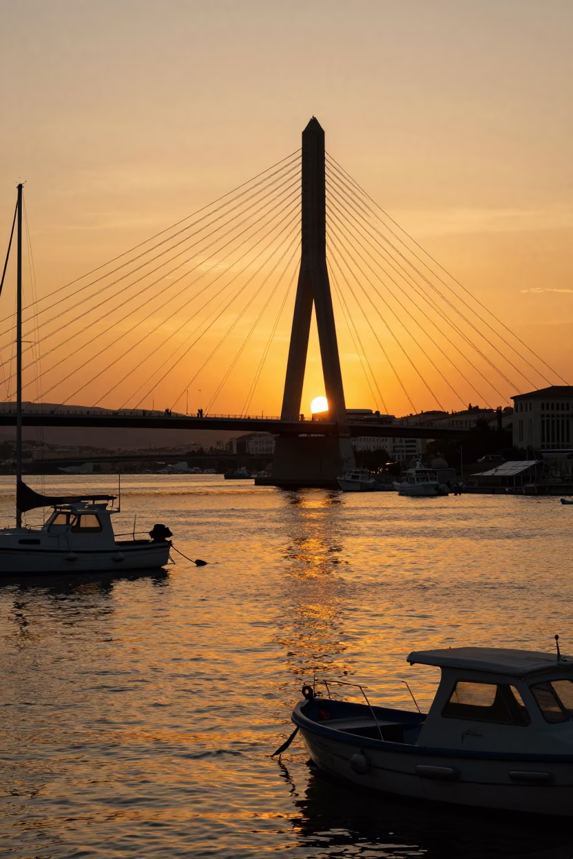 Golden Sunset Harbor Scene in Marseille France with Cable Stayed Bridge and Jacaranda Tree in in Marseille, France