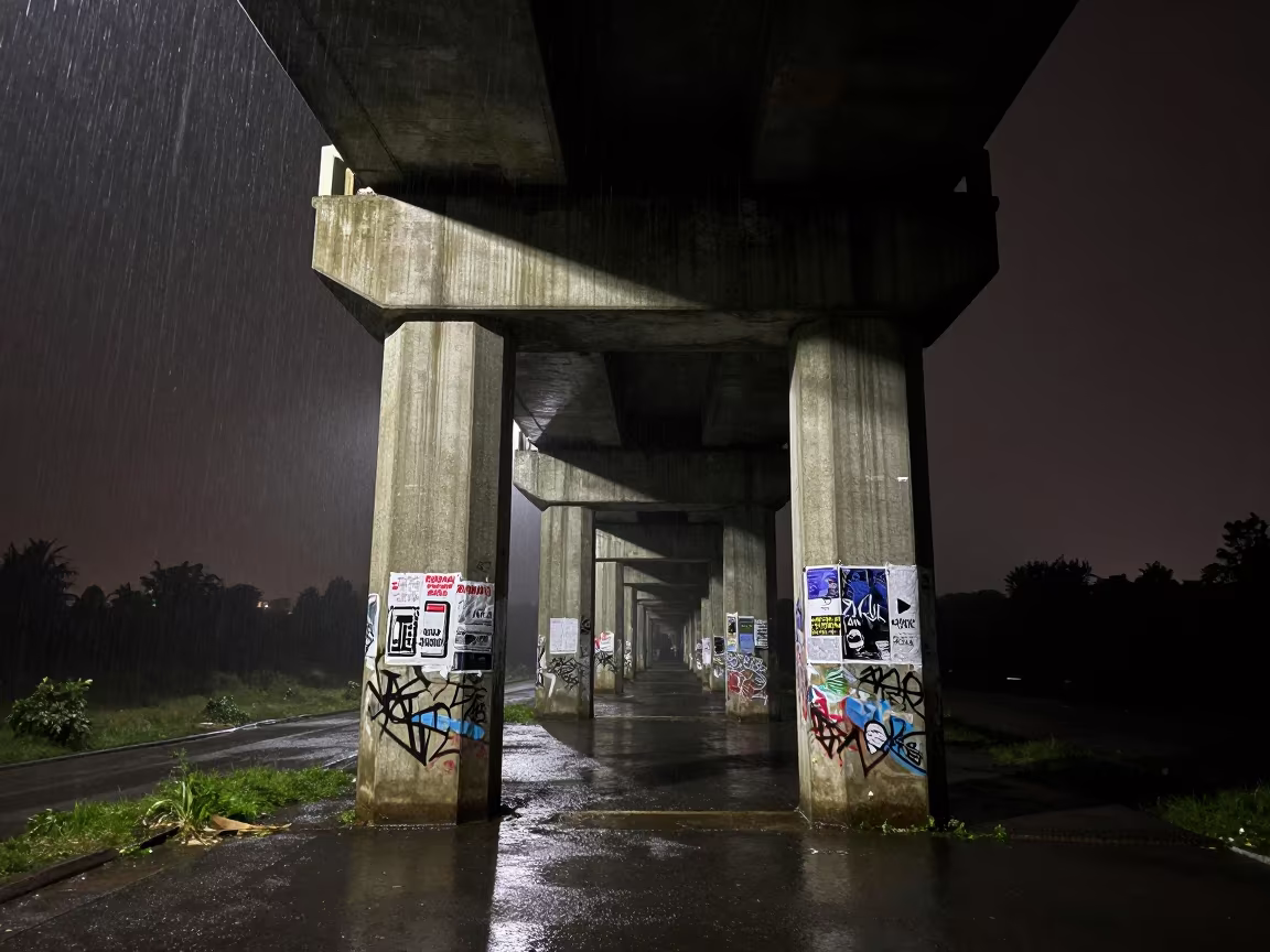 Graffiti Pier Midnight Rain Mist Rim Light in across a windy overpass interchange near Zinder