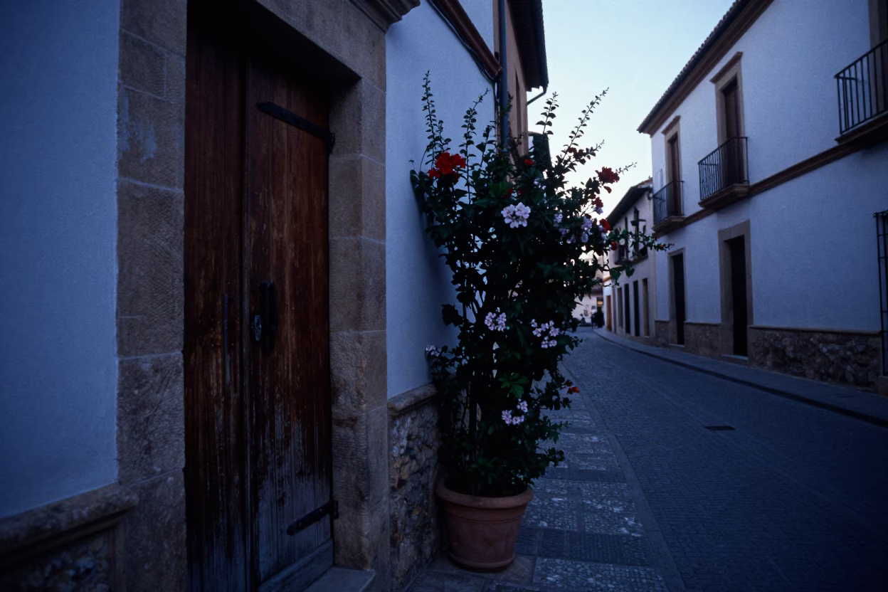 Granada Spain Pre-Dawn Street Scene with Flowering Plant and Hinge Detail in in Granada, Spain