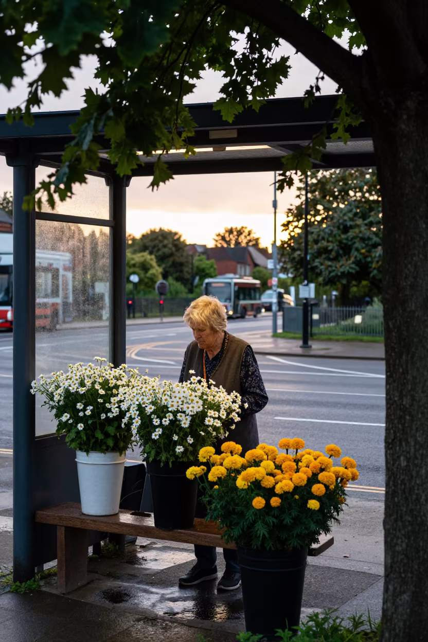 Grandmother Selling Flowers at Ipswich Tram Stop in at a tram stop in Ipswich