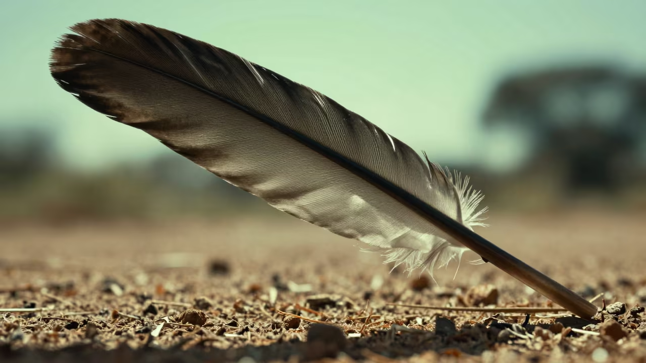 Green Hummingbird Feather Silhouette Noon Light in along a game trail near Potchefstroom
