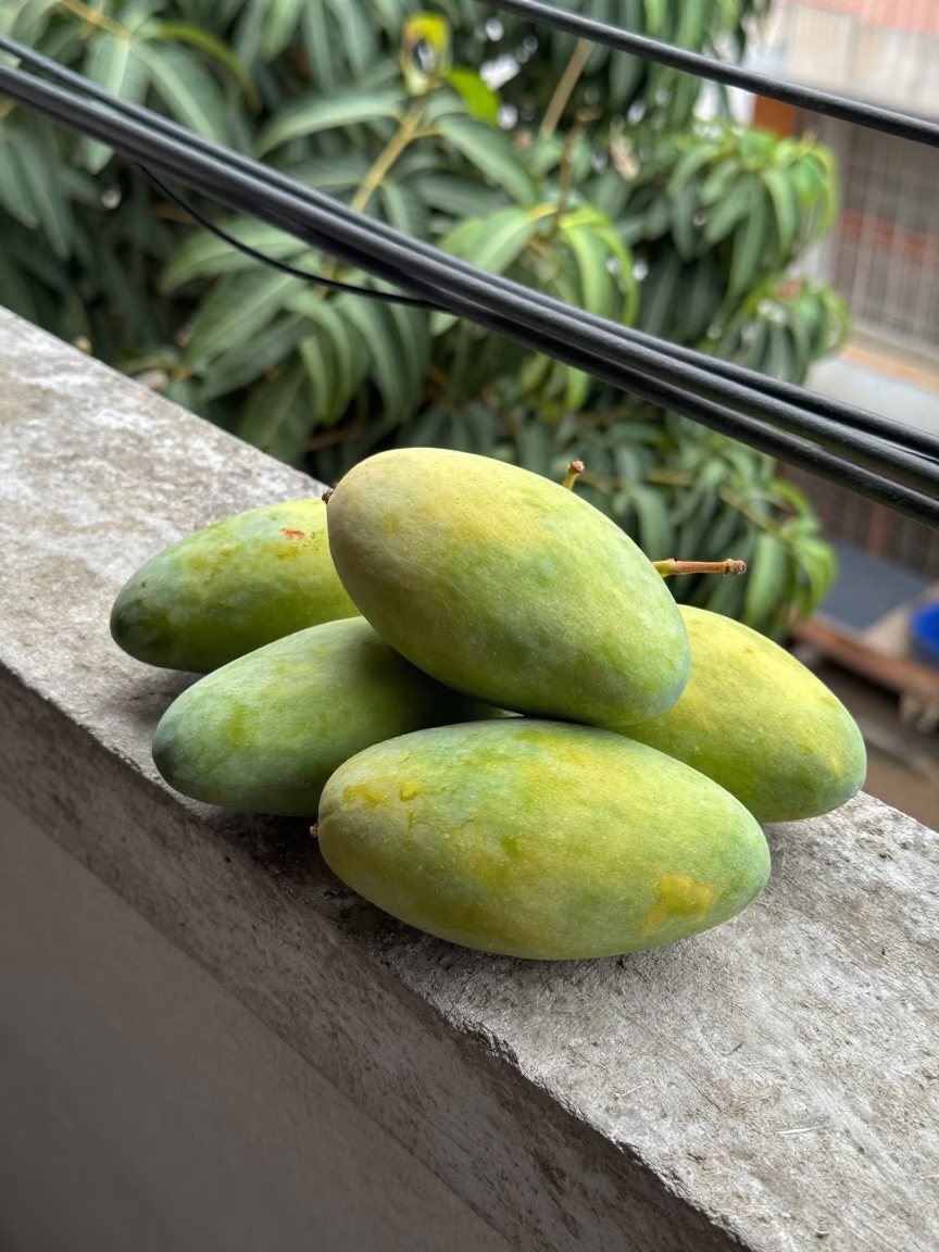 Green Mangoes in Phnom Penh in in Phnom Penh, Cambodia
