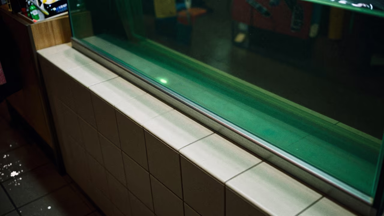Grooming Clip Rail at Dalian Aquarium Counter in inside a fish bagging counter zone near Dalian
