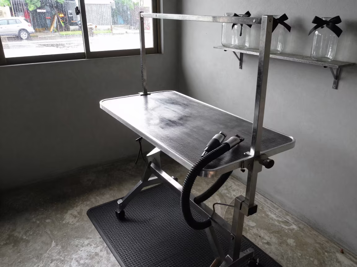 Grooming Table After Cleanup in Barranquilla in inside an adoption room near Barranquilla