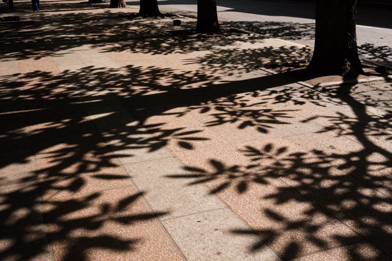 Grout Lines in Bologna at Midday Light in in Bologna, Italy