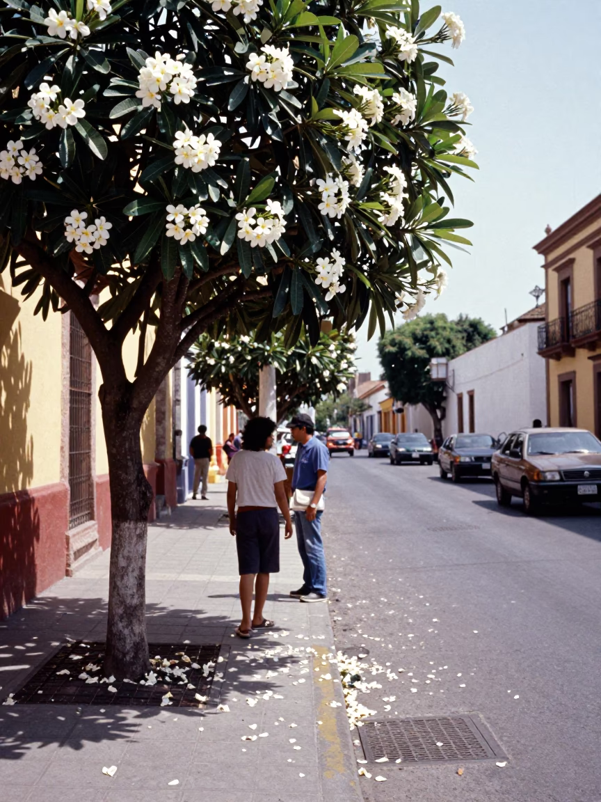 Guadalajara Mexico Midday Street Scene with Plumeria Tree and Local Pedestrians in in Guadalajara, Mexico