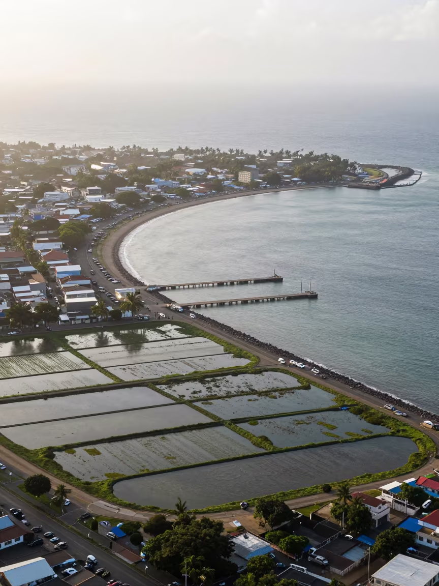Haitian Coastal City Bay Aerial View in high above irrigation geometry in Haiti