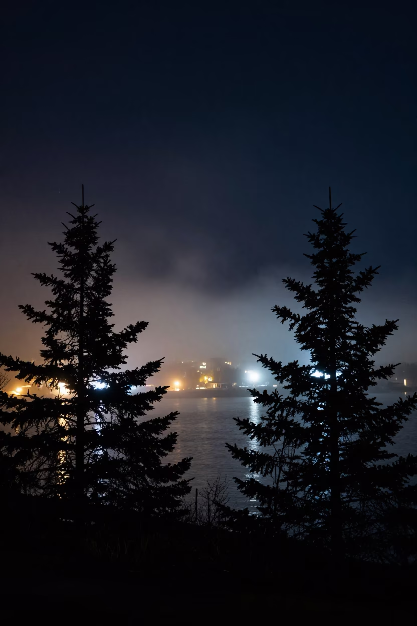 Halifax Night Scene with Harbor Lights and Foggy Spruce Trees in in Halifax, Nova Scotia, Canada