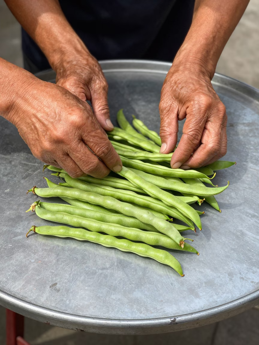 Hands Sorting String Beans in Shanghai in in Shanghai, China