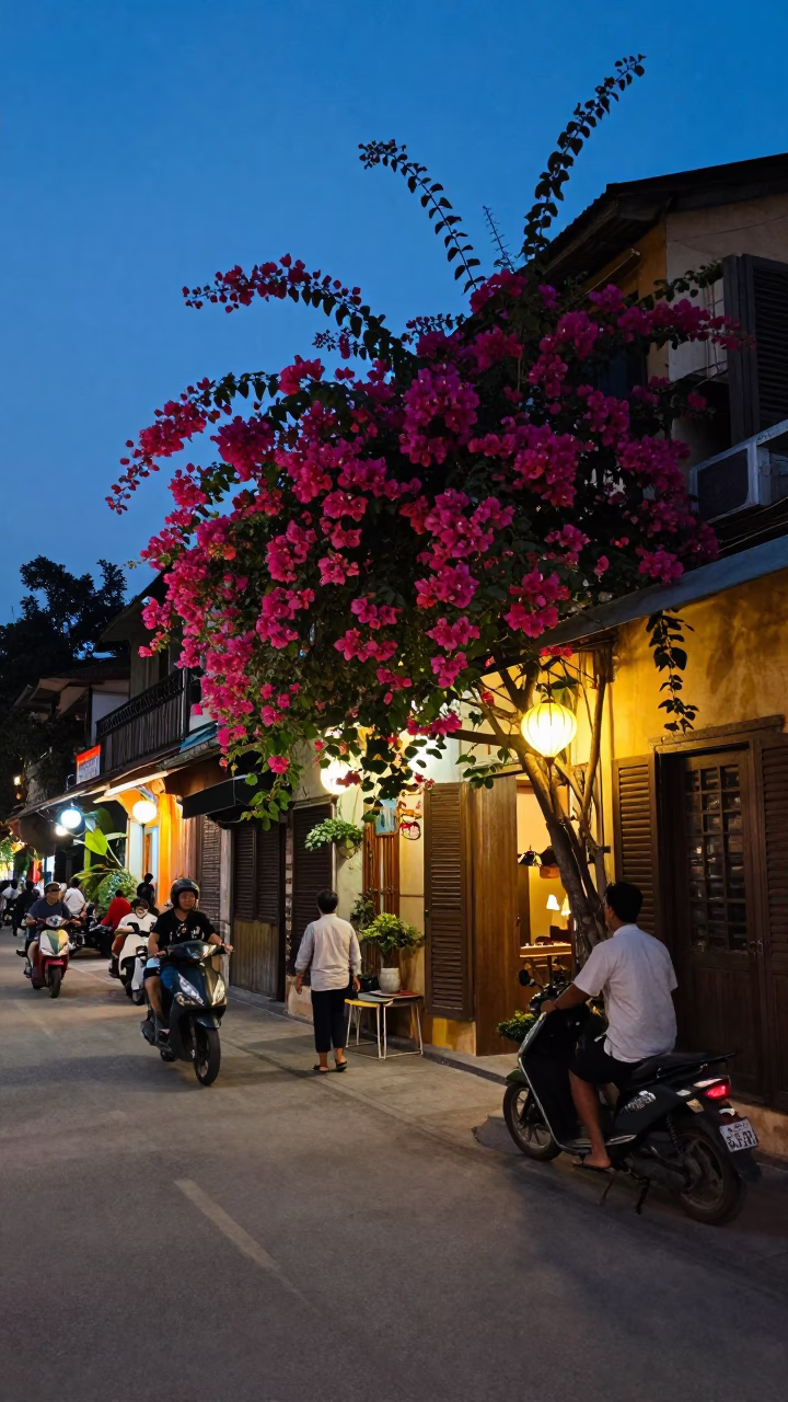 Hanoi Vietnam Blue Hour Street Scene with Bougainvillea and Local Life in in Hanoi, Vietnam