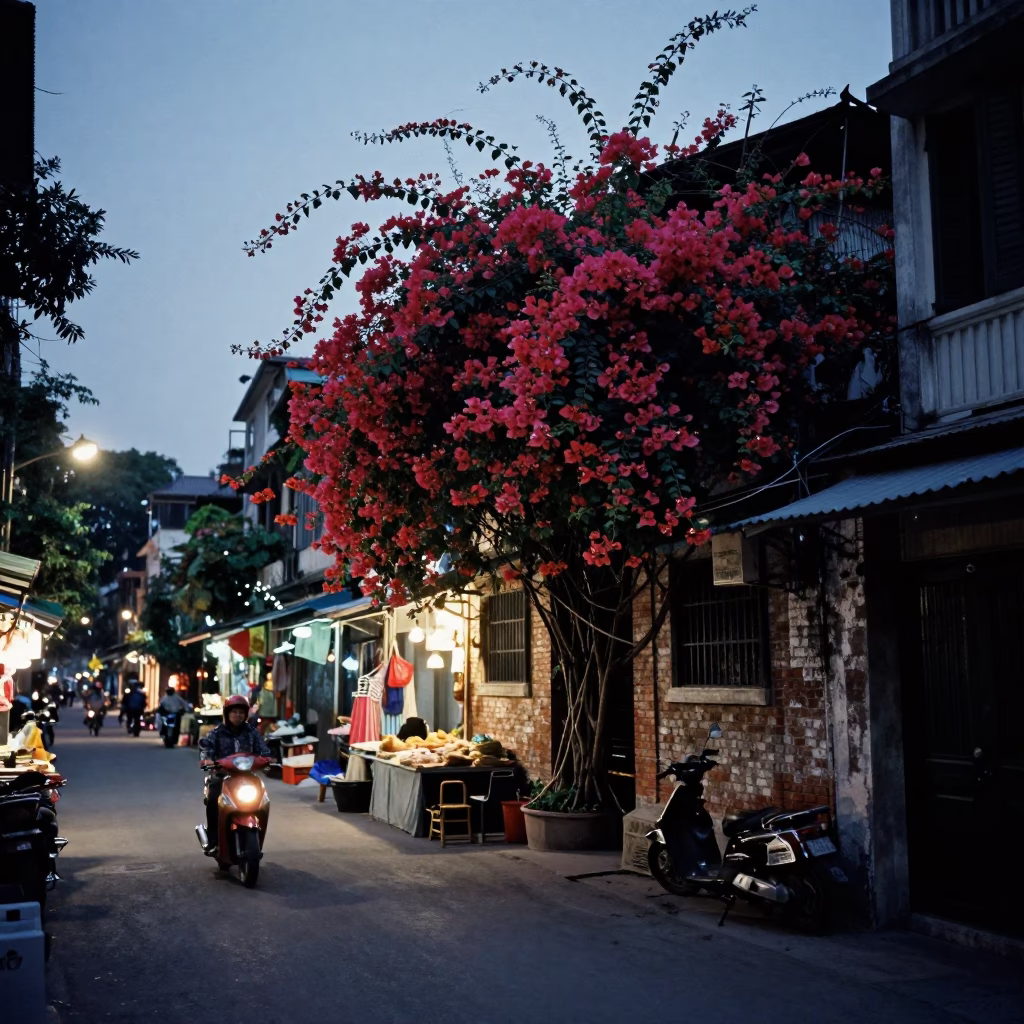 Hanoi Vietnam Predawn Street Scene with Bougainvillea and Local Market Activity in in Hanoi, Vietnam