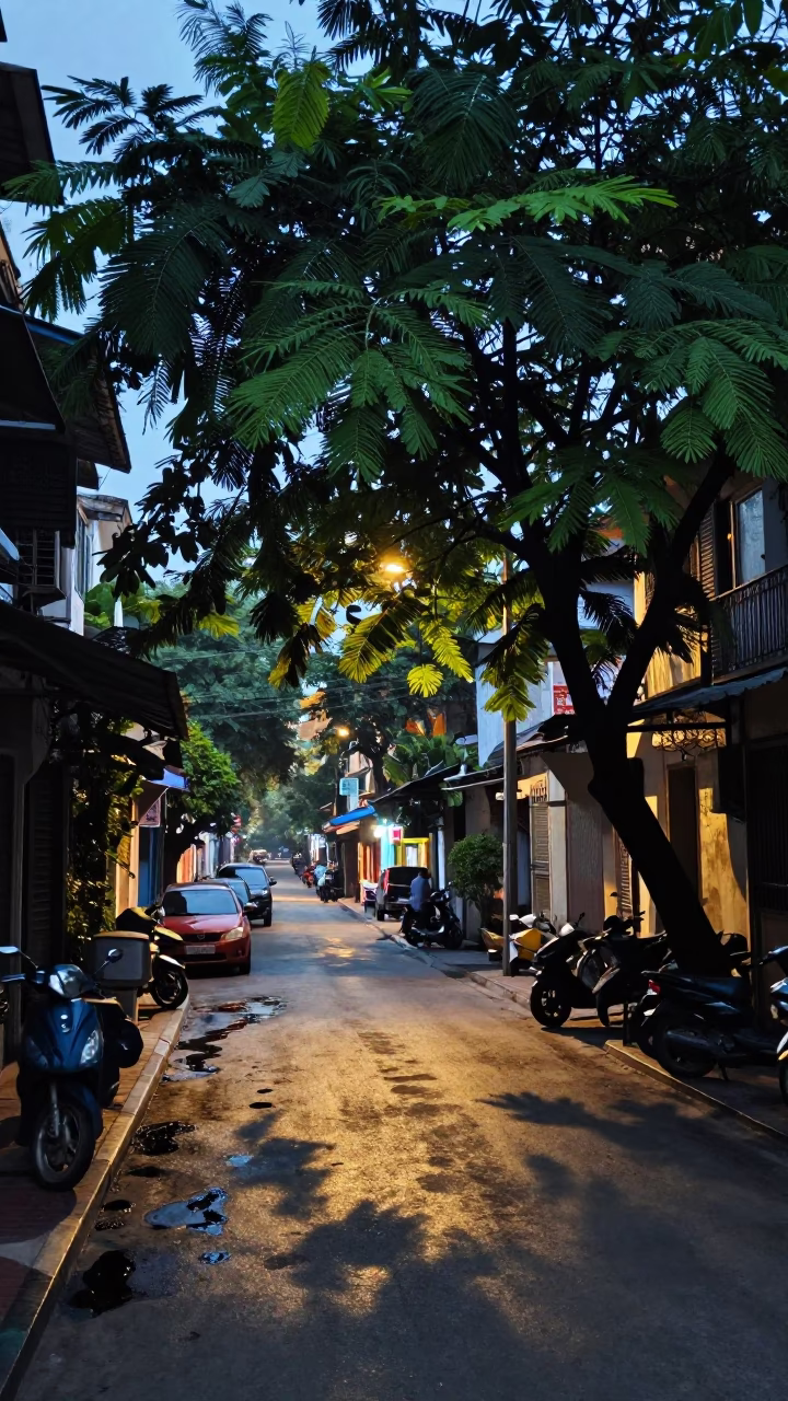 Hanoi Vietnam Street Scene at Nautical Dawn with Tamarind Tree and Substation Road in in Hanoi, Vietnam