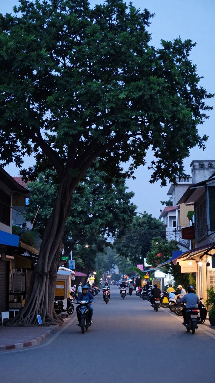 Hanoi Vietnam Street Scene Before Dawn with Kapok Tree and Stone Wall in in Hanoi, Vietnam