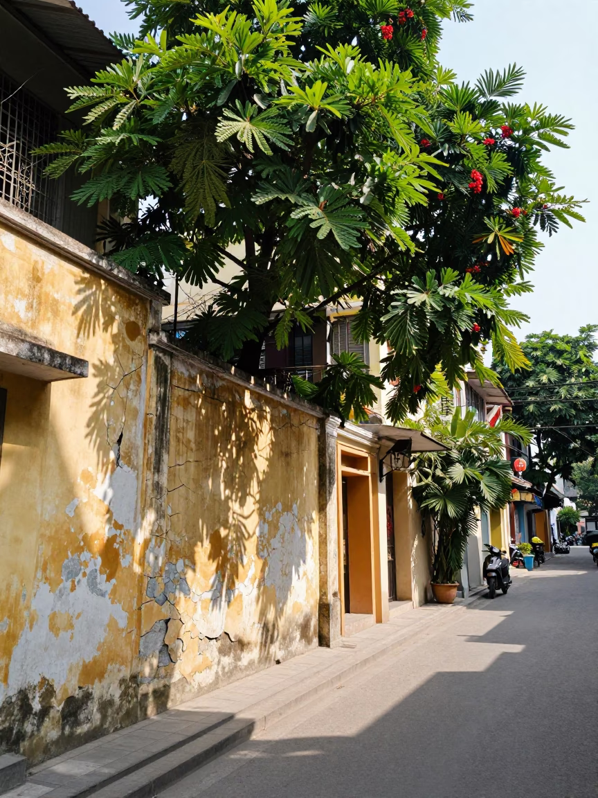 Hanoi Vietnam Street Scene Midmorning Cracked Stucco and Tamarind Tree in in Hanoi, Vietnam