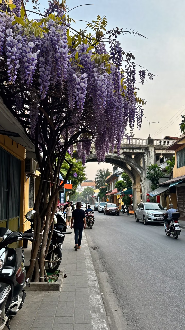 Hanoi Vietnam Street Scene with Wisteria and Railway Viaduct in in Hanoi, Vietnam