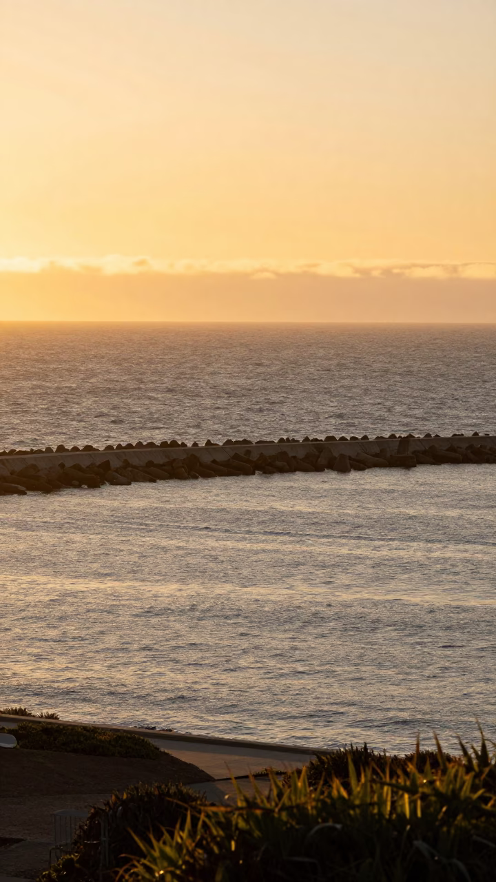 Harbor View in San Diego at Honeyed Evening Light in in San Diego, California, United States