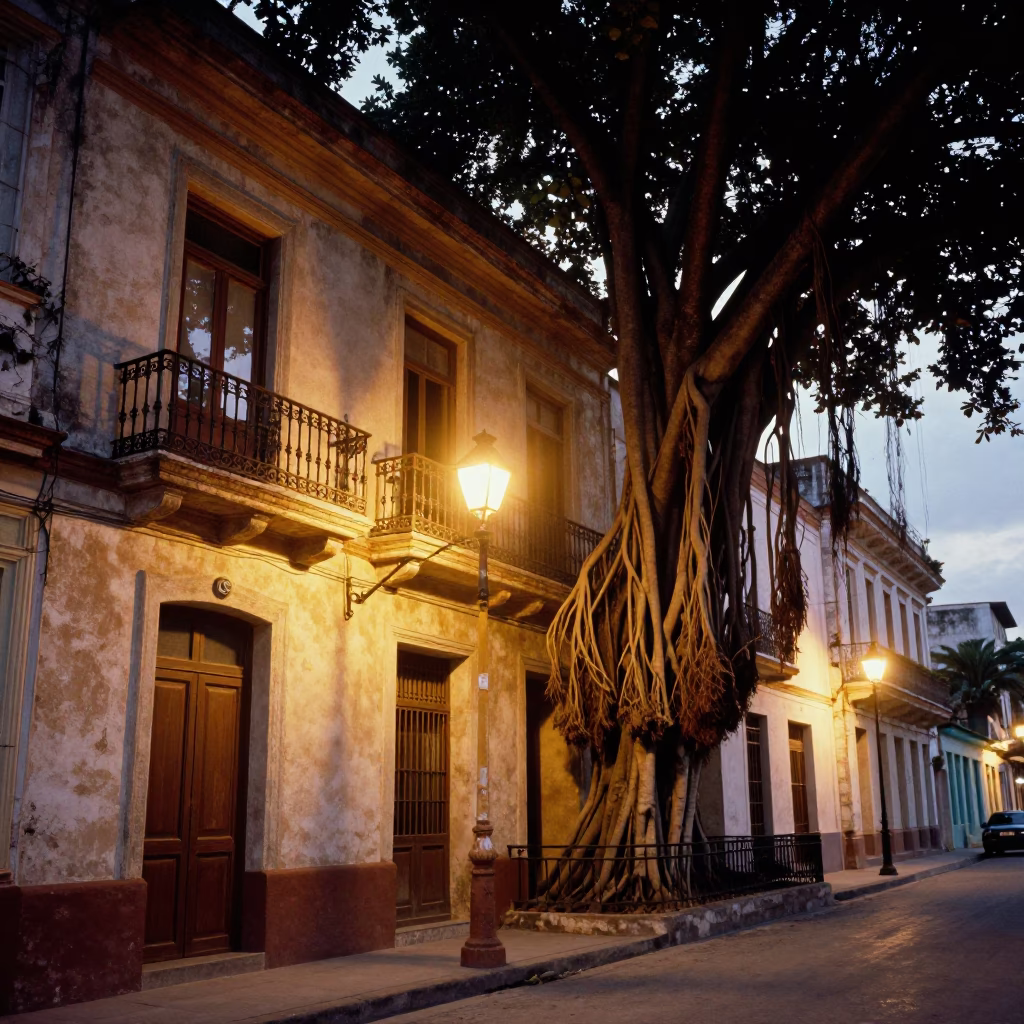 Havana Cuba evening street scene with colonial balcony and banyan tree in in Havana, Cuba