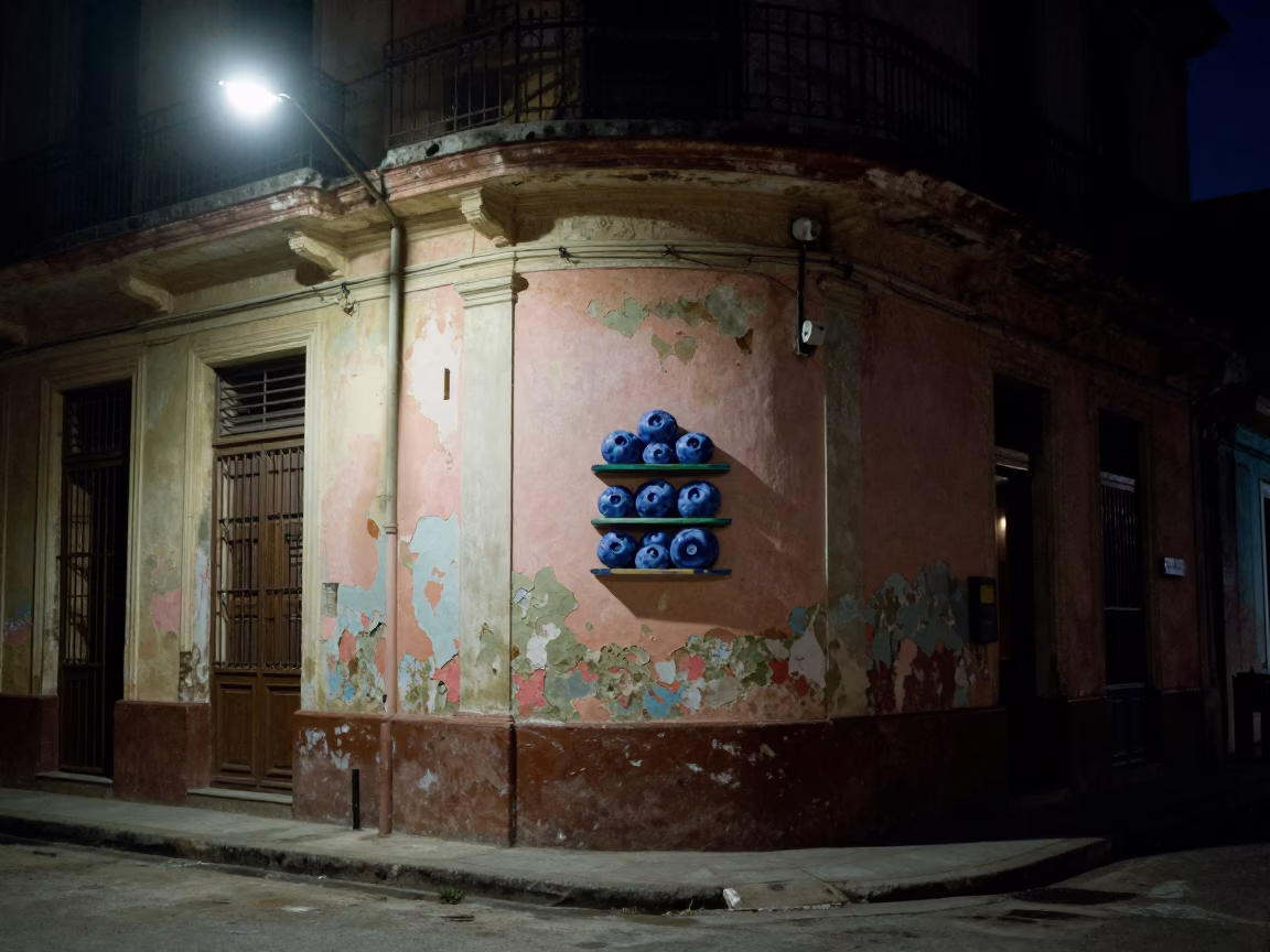 Havana Cuba Midnight Street Scene with Wall Shelf and Blueberries at Night in in Havana, Cuba